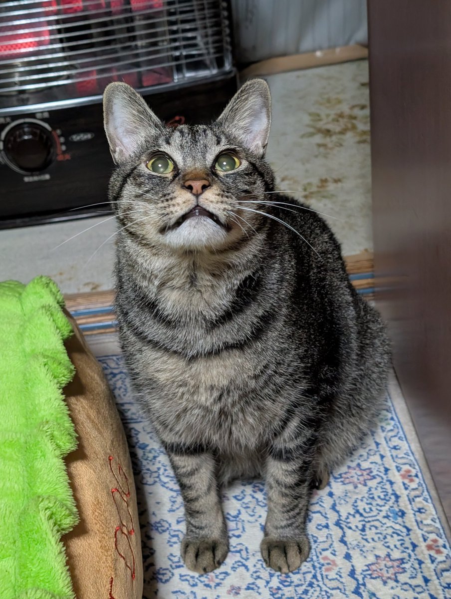 21gyaosu こんばんわにゃ🌟 お疲れですにゃ💖(〃∇〃)ﾆｬｯ💖