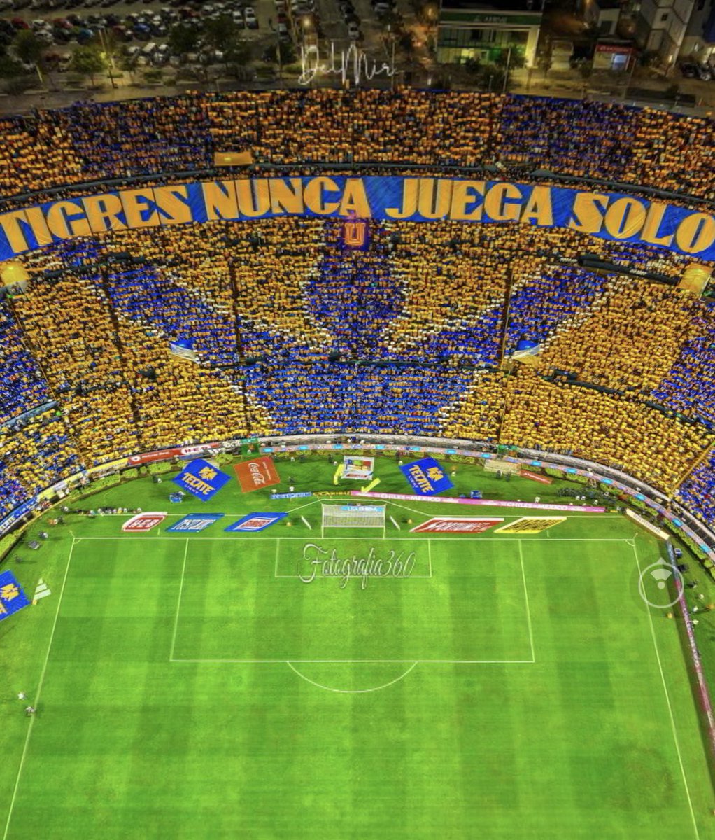 naciontigres's tweet image. I M P R E S I O N A N T E recibimiento por parte de los @LIBRESYLOKOS 🇸🇪🇸🇪