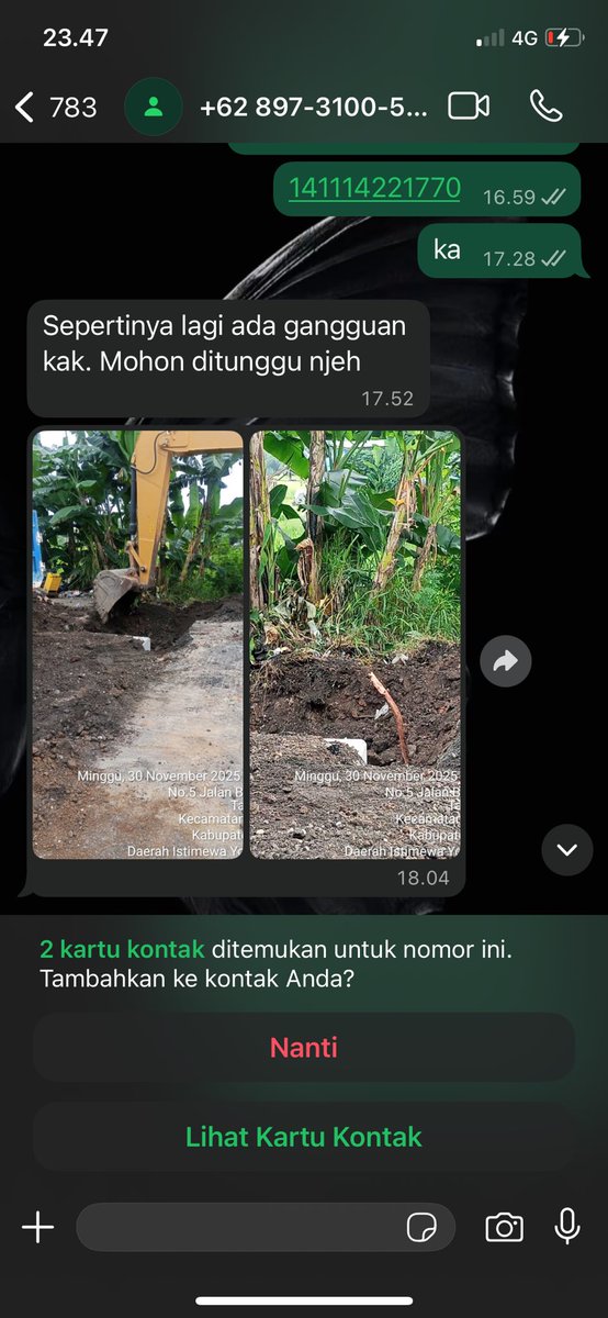 Angrybirds tweet media