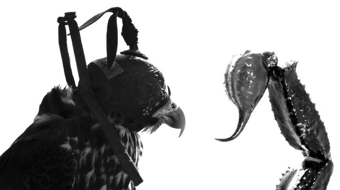 السم دايم في ذيول العقارب
والحر دايم رفعته من جنحانه !