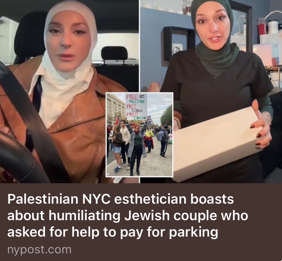 stopdontshoporg's tweet image. Congrats to Iman Masoud, now featured in the @nypost for her antisemitism.