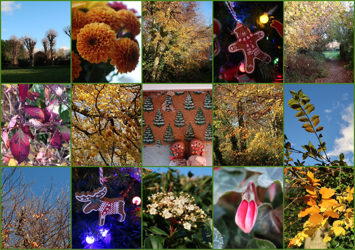 Funky albert snail tweet media