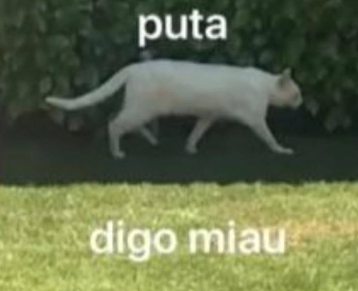 Meu estresse tá tão grande que não consigo raciocinar, e o maior problema, quando tô assim a porra da doença piora, o carai viu