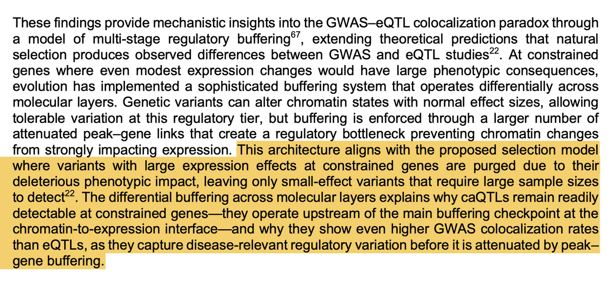 Sasha Gusev tweet media