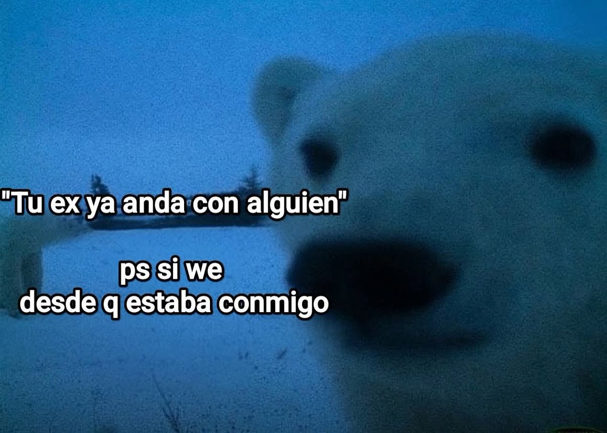 Animalesaprieto's tweet image. 