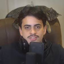 hypercalopsita + supercacatua overwatch tweet media