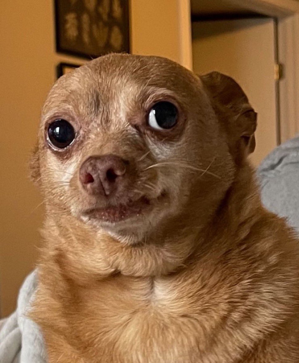 Football que vous jouez la @arsenal
Ça vous plaît ?