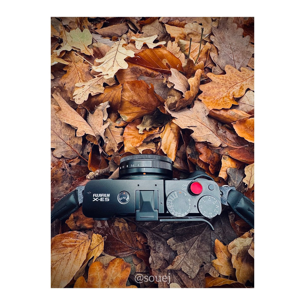 Autumn Atmosphere. 

<a href="/FujifilmX_DE/">FUJIFILM X Serie | GFX DE</a>