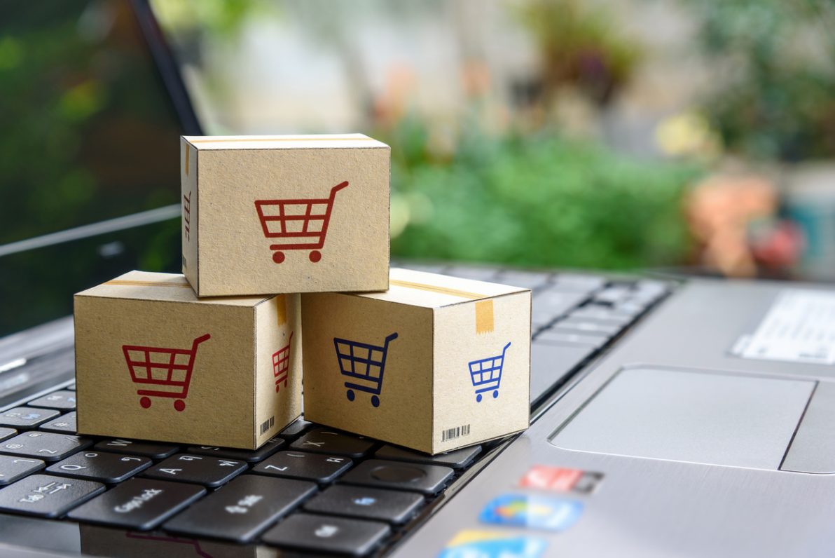 netbuilders.BIZ tweet media