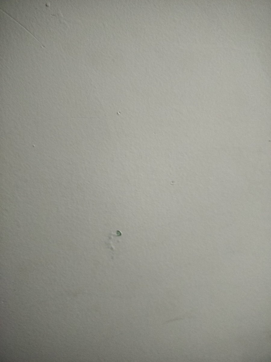 Olaylien's tweet image. Update on the artist