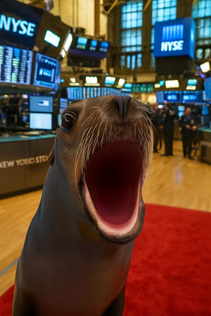 CodeReaderX's tweet image. Popseal EFT