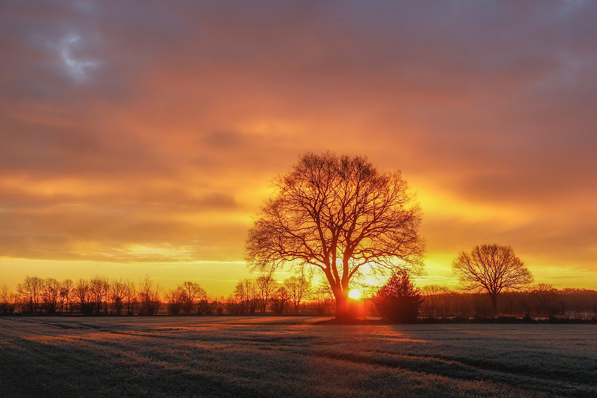 Dorfphotograph (@dorfphotograph) on Twitter photo 