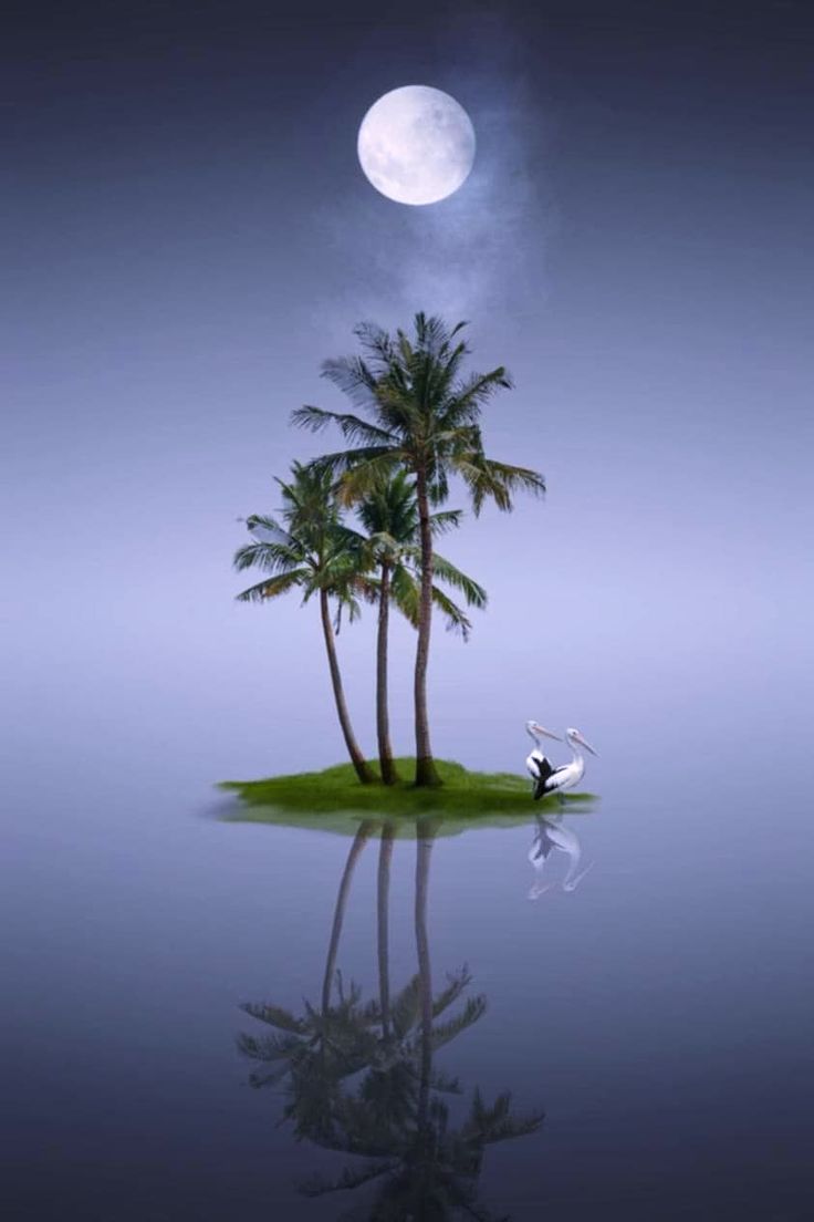 Intresting nature (@intrestingnatur) on Twitter photo 