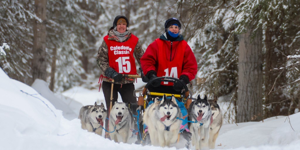 University of Northern British Columbia (UNBC) tweet media