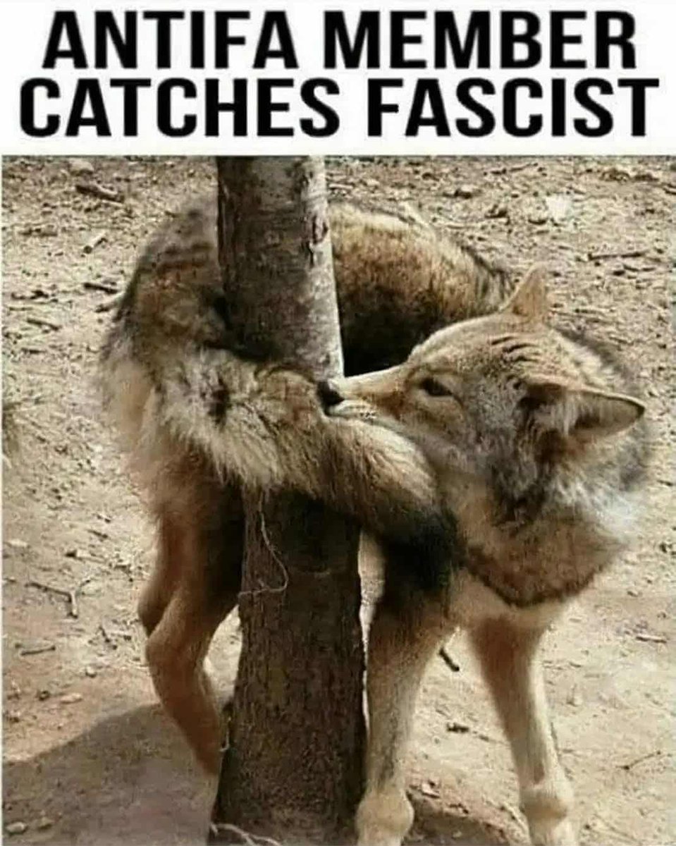 Rothmus's tweet image. 