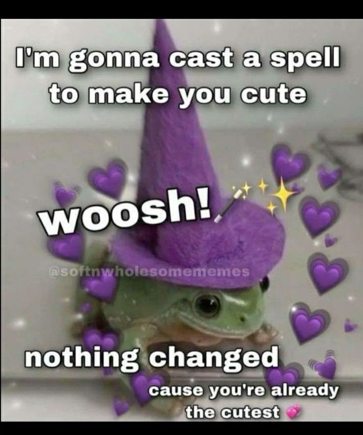 No Context Frogs tweet media