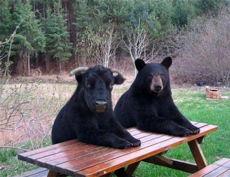 🔵MARKETEVANS: "Preparati per una Grande Settimana nel Mercato Azionario: Ecco i Catalizzatori da Conoscere"