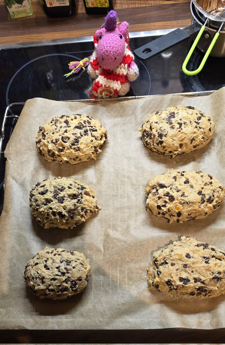 Fridolin tweet media