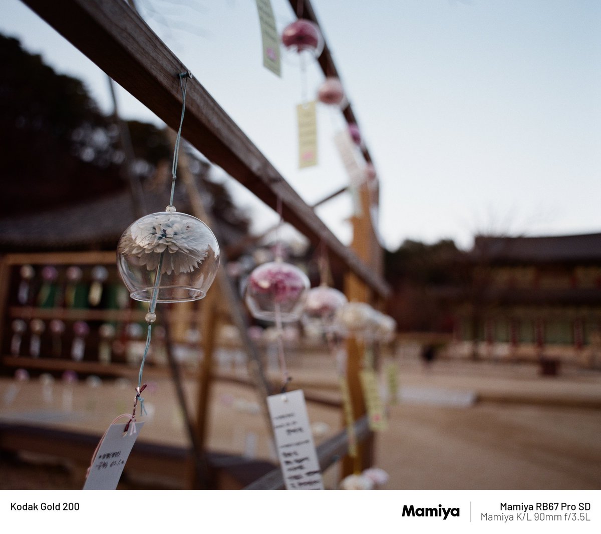 생존 신고

요즘 시간이 음서요