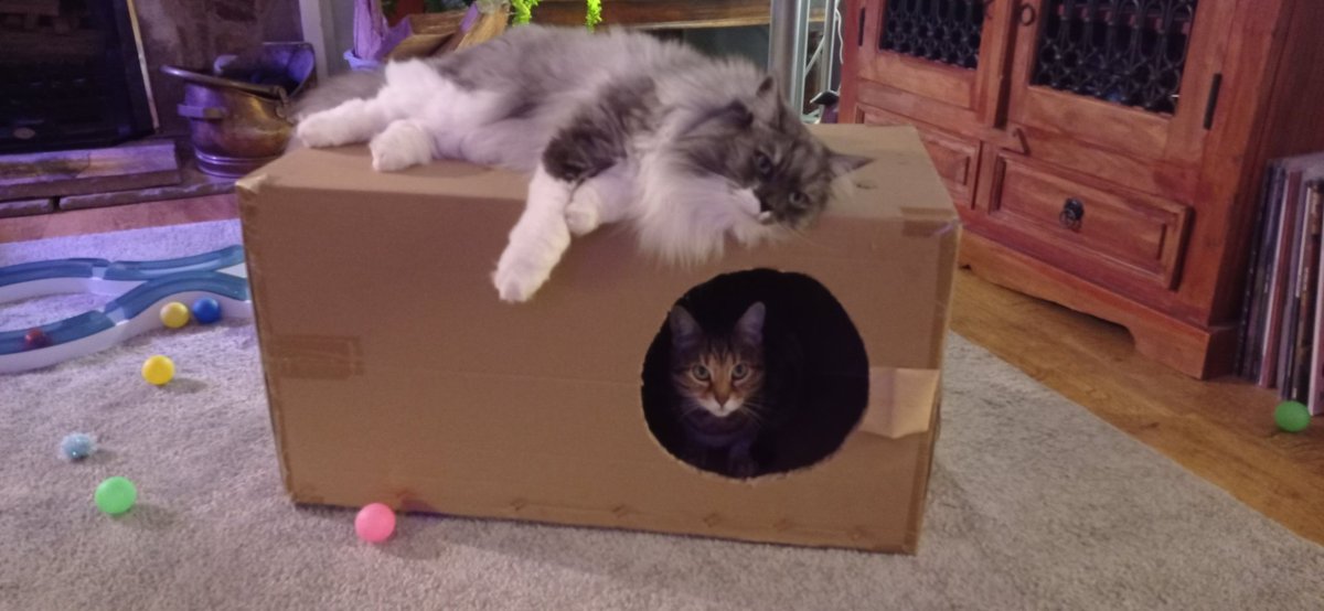 Ruby & Charlie tweet media