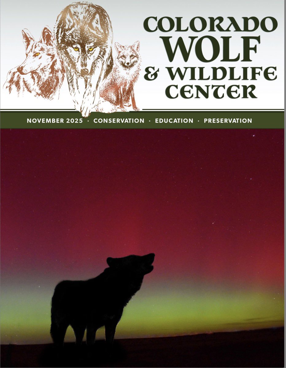 SamanthasLaw's tweet image. #CWWC 
COLORADO WOLF &amp;amp; WILDLIFE CENTER 
wolfeducation.org/_files/ugd/35f…