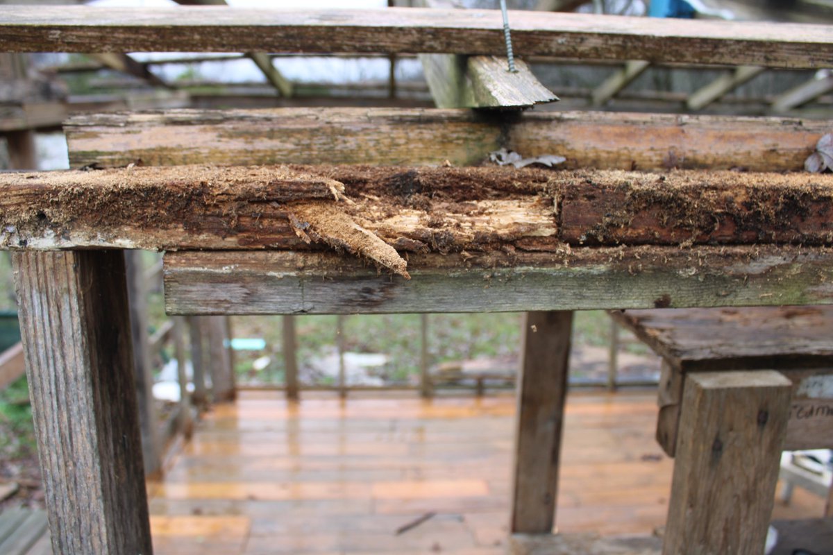 docsanderson's tweet image. #Scientists #Carpenter #RestorationProject #WildFireProtocol #Wolves @HeartsofHeroes_ @danpeckwx @Nature @Ginger_Zee Mags G, Removed top of wall Found the Real Horror story top of Back Wall has to be Reworked completely MASSIVE Termite Damage calling it a day Back to box Mwah Lee