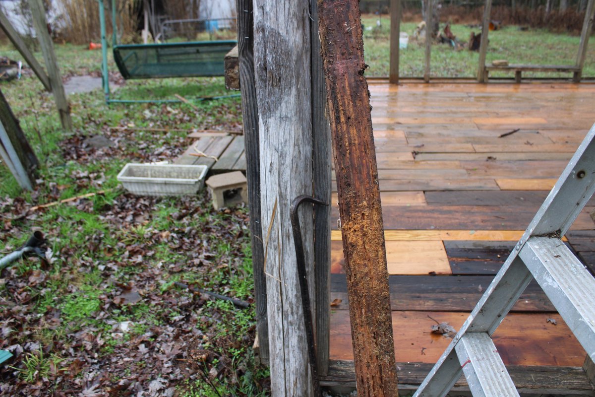 docsanderson's tweet image. #Scientists #Carpenter #RestorationProject #WildFireProtocol #Wolves @HeartsofHeroes_ @danpeckwx @Nature @Ginger_Zee Mags G, Removed top of wall Found the Real Horror story top of Back Wall has to be Reworked completely MASSIVE Termite Damage calling it a day Back to box Mwah Lee