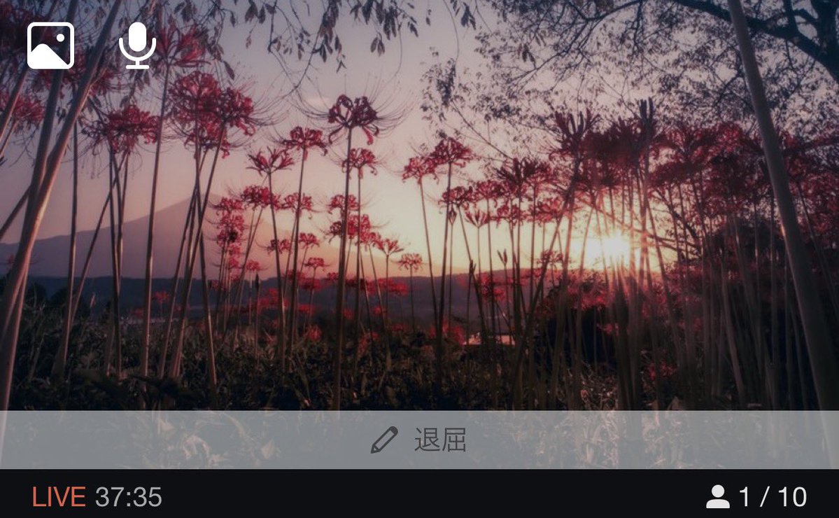 logi_ql1photh's tweet image. omg