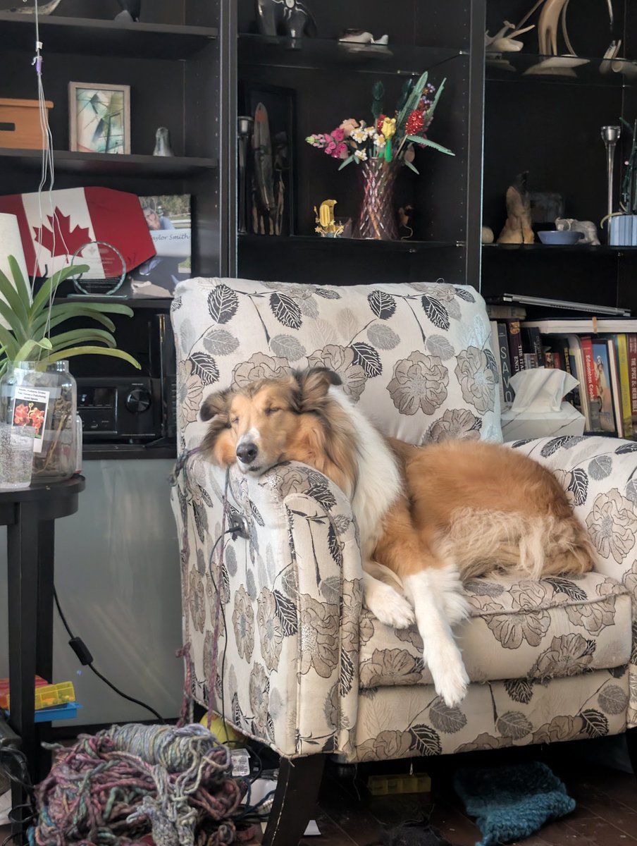 Lazy Sunday morning. We both need another coffee