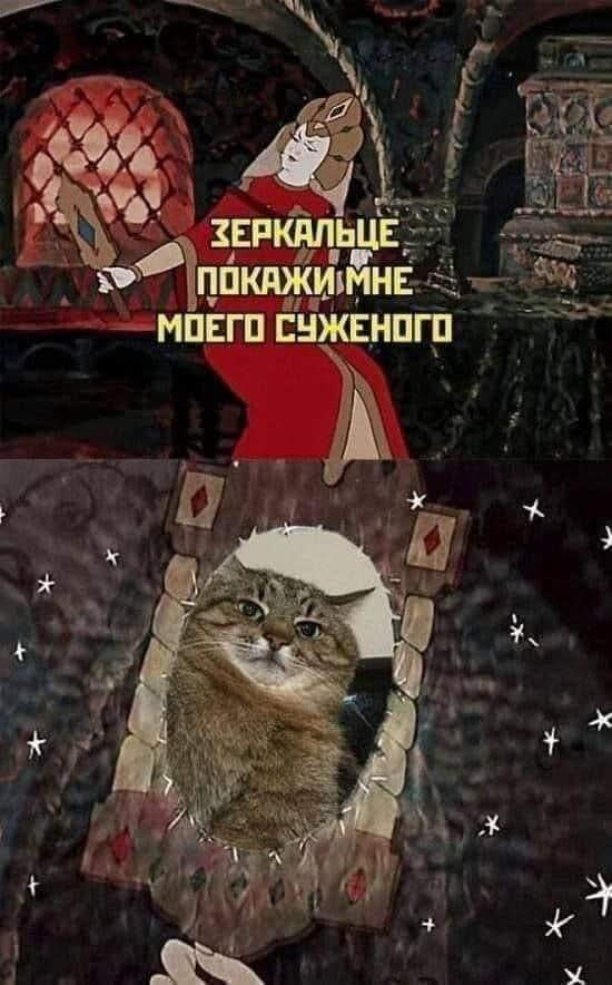 Victor 🇪🇸 (@firebird_) on Twitter photo 