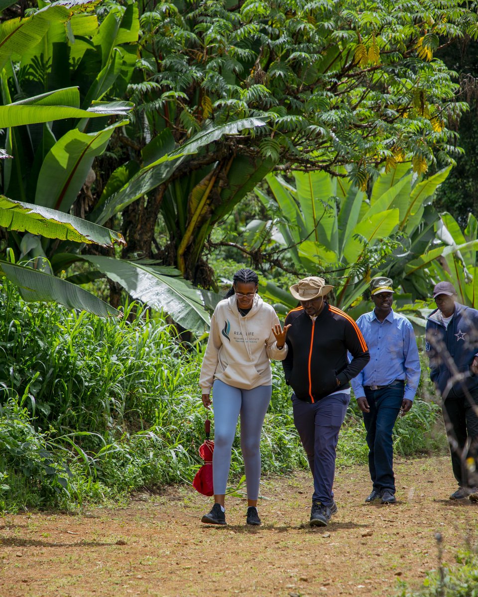 IKAZE Ventures 🇧🇮 tweet media