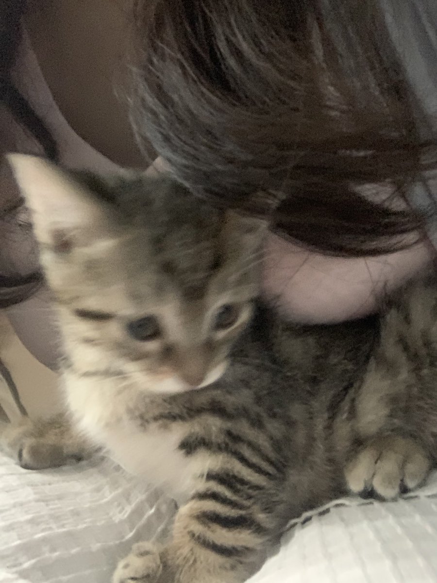 福利姬Yokin（淡推版）分享的黄推图片3 - 网红私拍内容