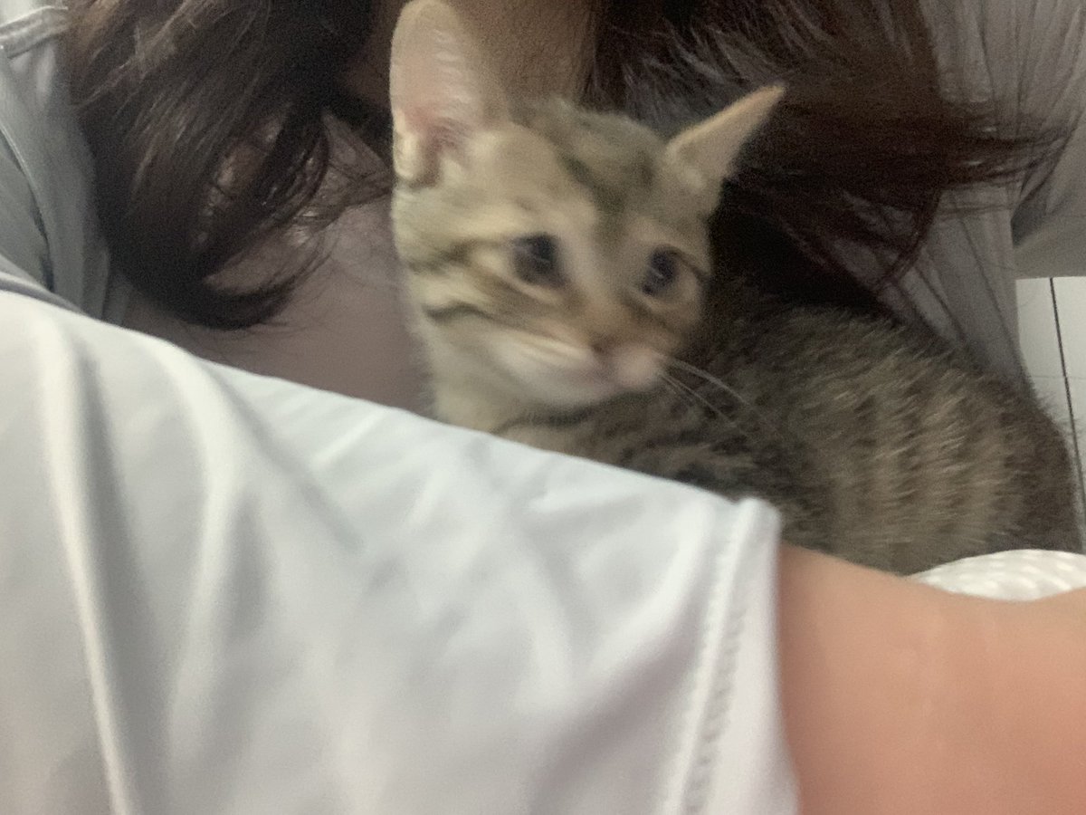 福利姬Yokin（淡推版）分享的黄推图片1 - 网红私拍内容