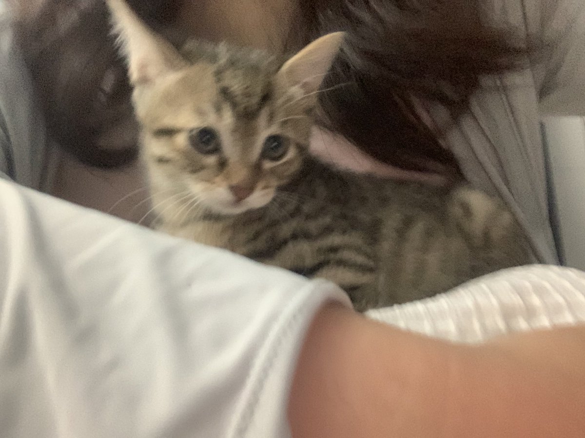 福利姬Yokin（淡推版）分享的黄推图片2 - 网红私拍内容