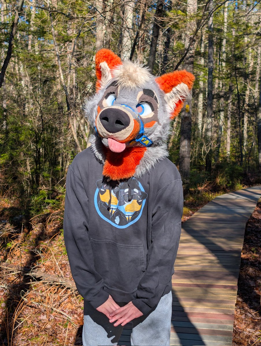 PartDoggo's tweet image. A puppy blocks the path ❗