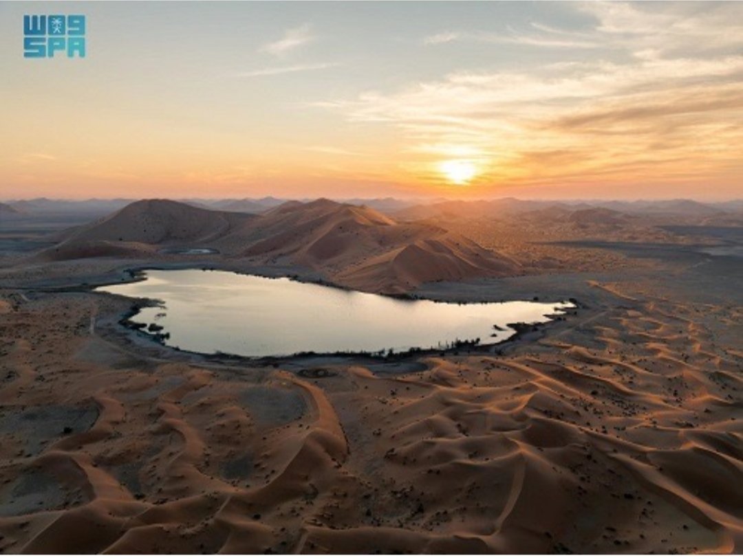 مركز الحياة الفطرية يطلق موسم التخييم "عيش الطبيعة" في محمياته لعامي 2025–2026م

خليـج الديرة
khlijm.com/18205718391405