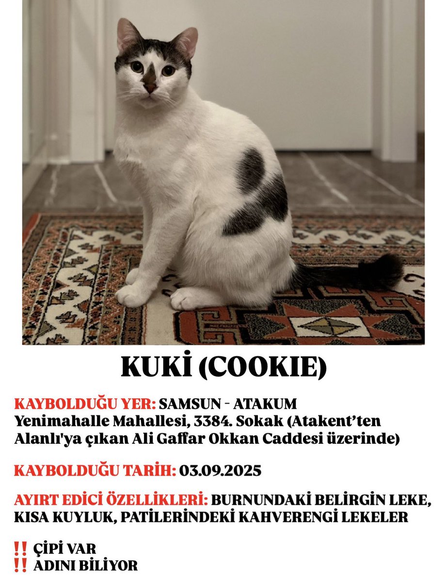 KUKİ HÂLÂ KAYIP / SAMSUN - ATAKUM

Erkek ve kısır. Çipi var. Çipteki ismi Cookie. Haftalardır sokak sokak arıyoruz, ne iyi ne de kötü hiçbir haber alamıyoruz. Görenlerin iletişim numarasından ulaşmasını rica ediyoruz.

İLETİŞİM: 0531 356 79 78