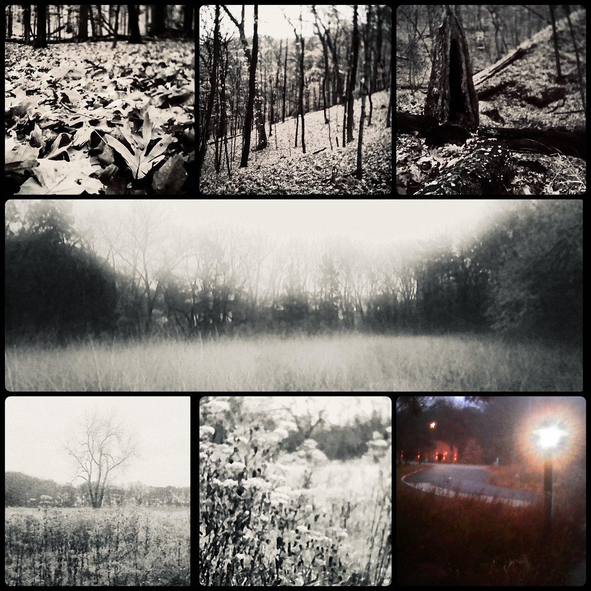 Hi I’m Dawnia Darkstone, a multidisciplinary artist made famous by my seminal works in glitch art. Lately I’ve been exploring formalist folk surrealism with a toy keychain camera