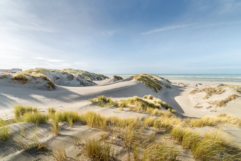 hautsdefrance's tweet photo. [Photo du dimanche]

🌊 Rien de tel qu'une balade dans les dunes à #Merlimont pour se ressourcer !

👏 Merci à Patrice Bernier pour cette belle photo partagée dans le groupe : “Les plus belles photos des #hautsdefrance” 👉 https://t.co/4JXMfqS7eX https://t.co/WwzULR86fP