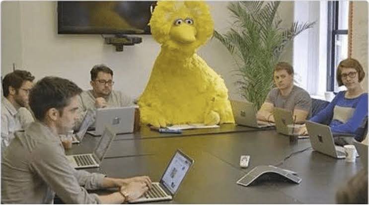 Antonio Pacheco tweet media