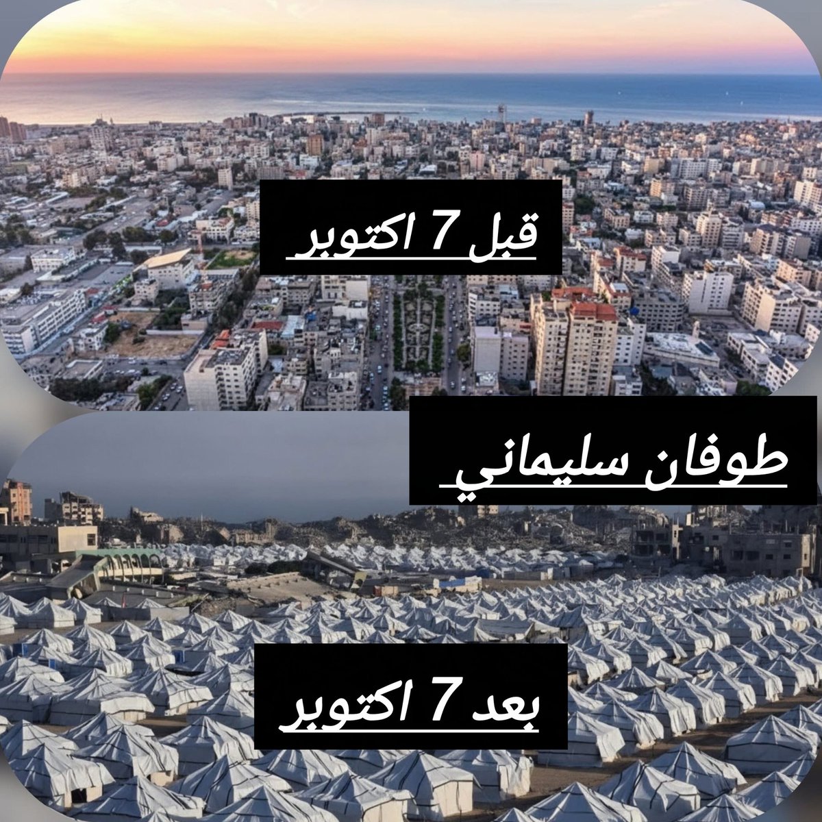 Translation: 'The results of political and military stupidity'