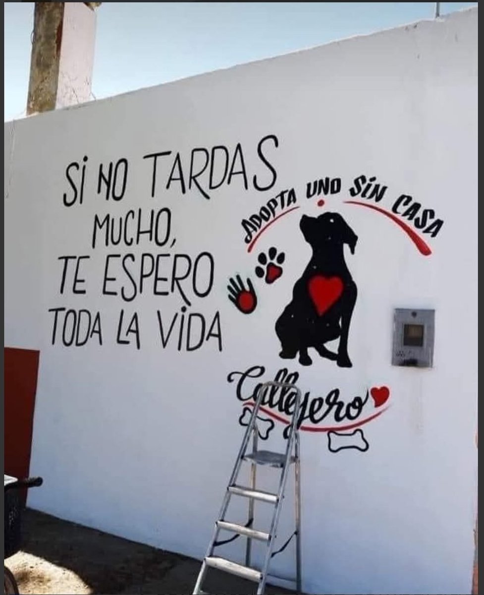 Empecemos por dar y recibir bonitos regalos de vida... 😊🤗🎁