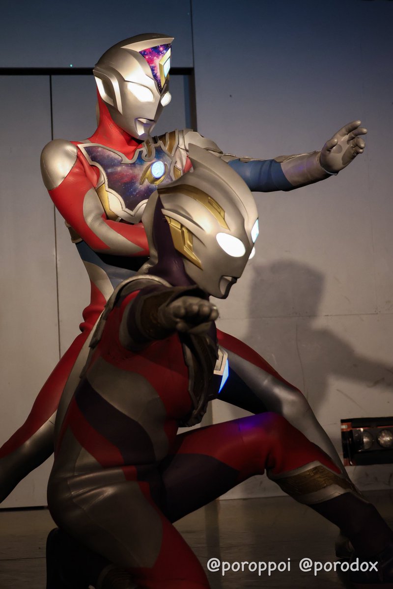 Poro (@poroppoi) / Posts / X