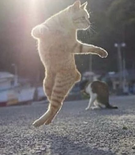 nuradeeeen's tweet image. Saka cross.                      Merino header.