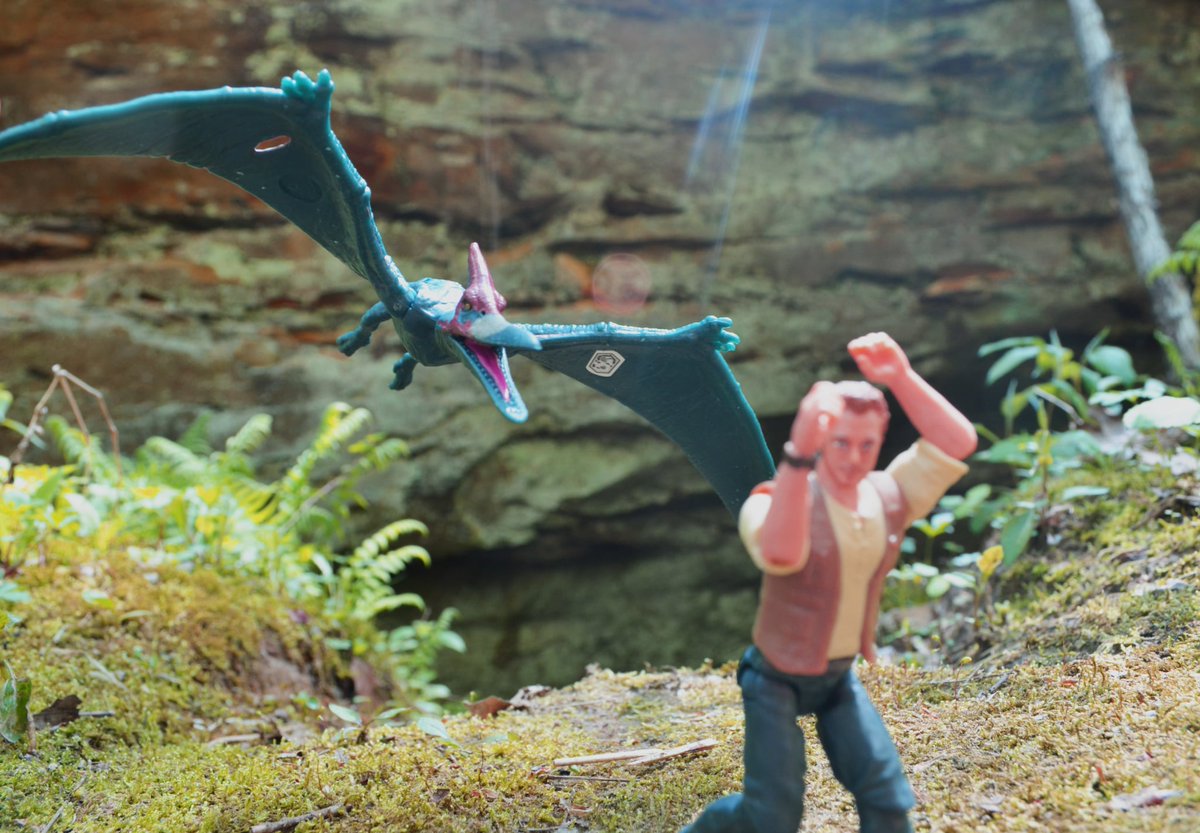 JMaloneActs's tweet image. Terror-saur

@Mattel
@JurassicWorld 

#JurassicWorld #JurassicPark #Pteranodon #Pterosaur #ToyPhotography