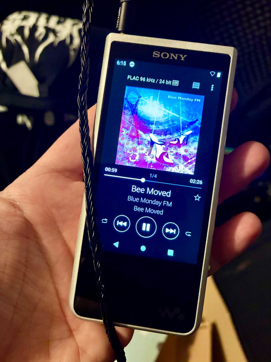 日本から注文した Sony NW-ZX507 がまもなく到着します！ 今後のIEM
