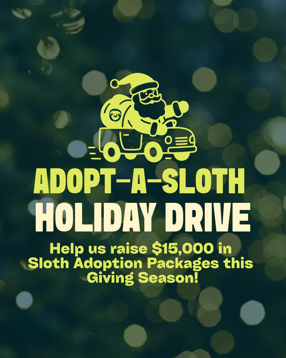 Get the ULTIMATE Sloth Lover Gift this Holiday Season

Holiday Special: 50% OFF all Adopt-A-Sloth packages through November 30, 2025! Give a meaningful, tax-deductible gift that protects real sloths in Costa Rica.

secure.qgiv.com/for/tsiocrv