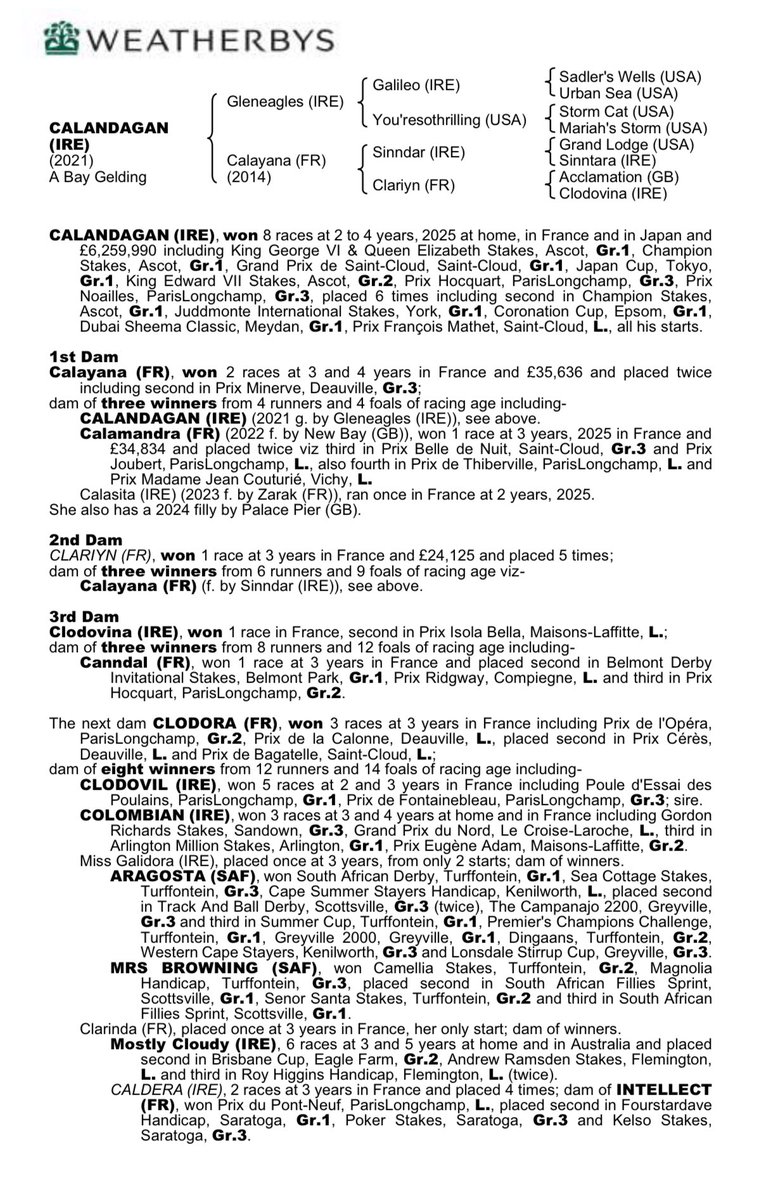 An updated pedigree for Calandagan <a href="/GraffardRacing/">𝐅𝐫𝐚𝐧𝐜𝐢𝐬-𝐇𝐞𝐧𝐫𝐢 𝐆𝐫𝐚𝐟𝐟𝐚𝐫𝐝</a> who landed today’s Gr. 1 Japan Cup 🇯🇵 - his fourth successive top-level success.
The <a href="/AgaKhanStuds/">Aga Khan Studs</a> homebred is by Gleneagles <a href="/coolmorestud/">Coolmore</a> and out the dual-winner and Group placed mare Calayana.
From the family of 2003 Poule