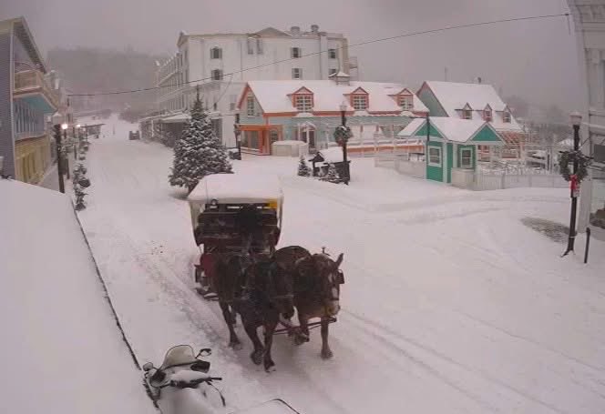 Fresh snow on Mackinac Island 🐴 ❄️