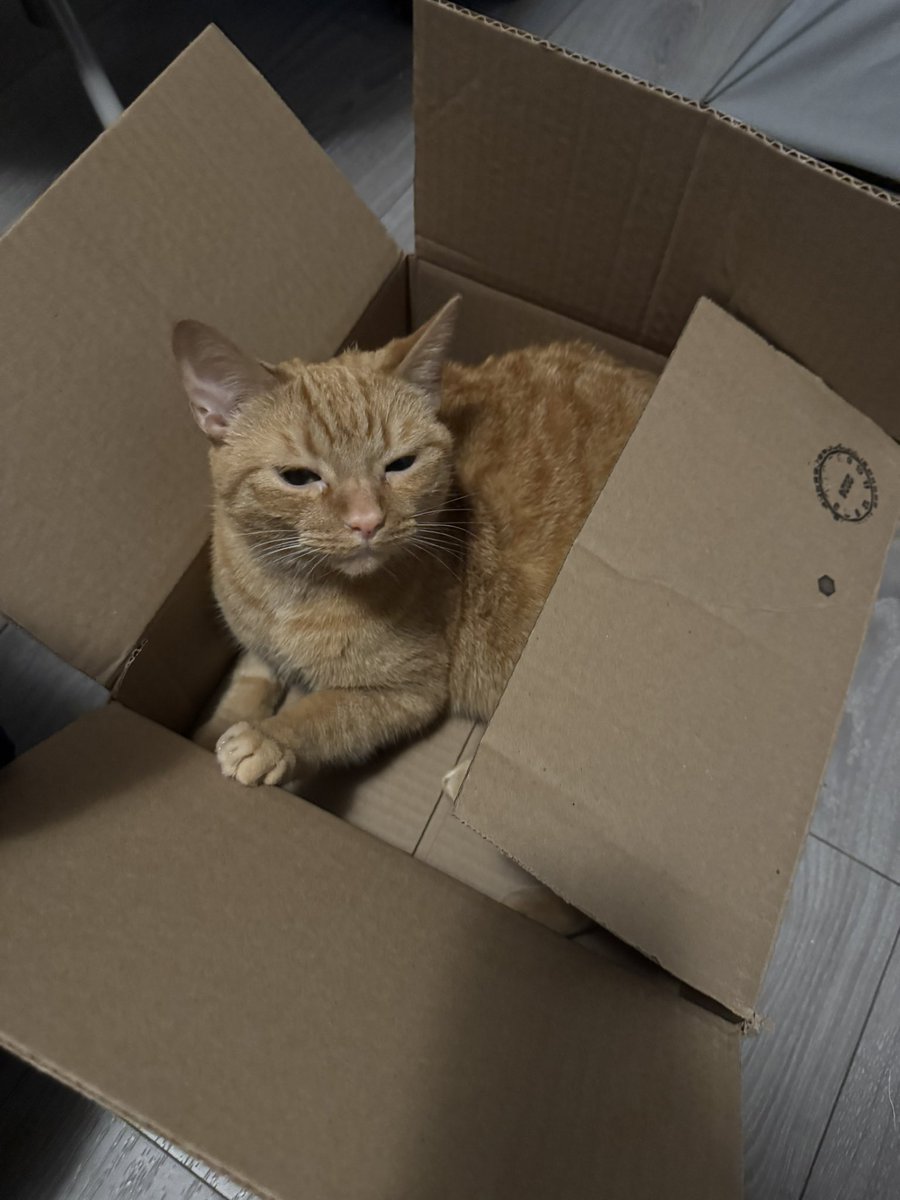 they tell kobert think outside the box. but kobert dont follow rules. so he think inside